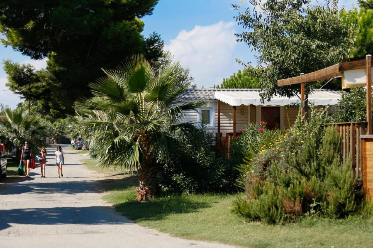 Mobil-home 3ch 34 M2 A Saint-cyprien Camping Saint-Cyprien (Pyrenees-Orientales)
